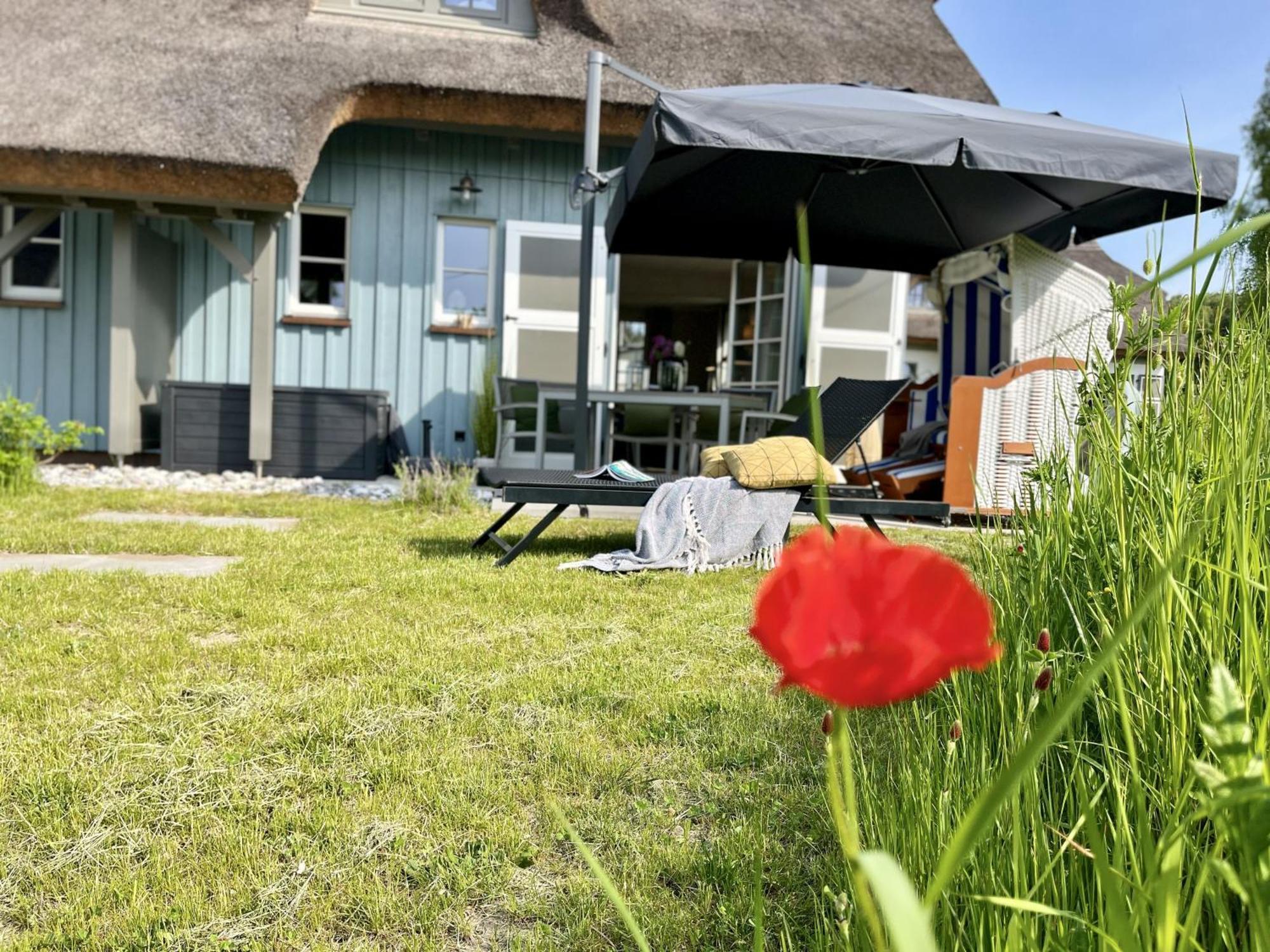 Ferienhaus Strandflieder 05 Feriendorf Klein Stresow Ruegen By Ruyastay Putbus Luaran gambar